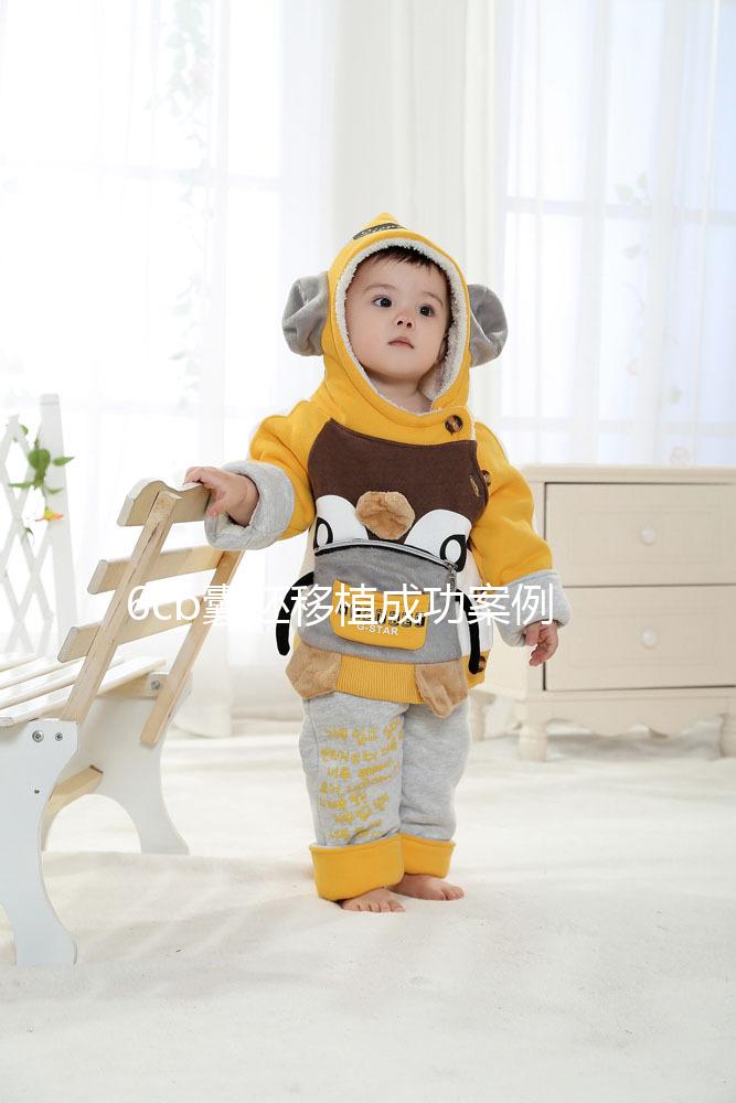 6cb囊胚移植成功案例并不少！過來人分享經(jīng)驗帶你好孕