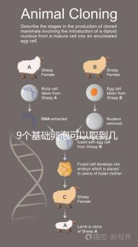 9個(gè)基礎(chǔ)卵泡可以取到幾個(gè)卵戳，促排后會不會增加很重要