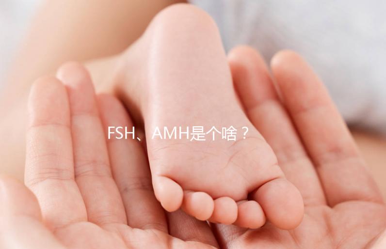 FSH、AMH是個啥？卵巢功能好不好看這些指標！