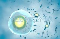 12個(gè)胚胎養(yǎng)囊五個(gè)也很正常，看完成功率就知所言非虛