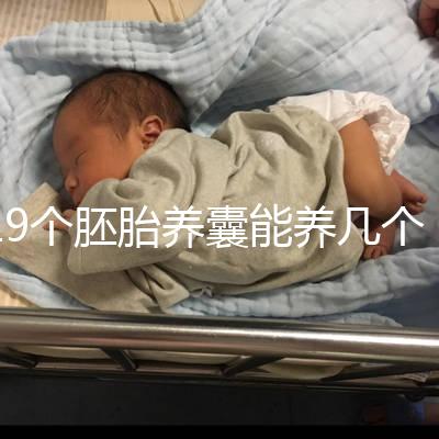 19個胚胎養(yǎng)囊能養(yǎng)幾個真難說，質(zhì)量好都成功了也屬正常