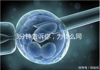3分鐘告訴你,為什么同卵雙胞胎不會是龍鳳胎