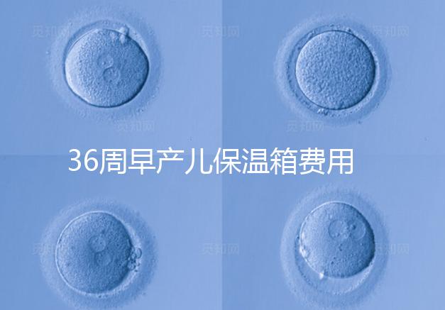 36周早產(chǎn)兒保溫箱費用整理，12天到4斤花不了多少錢