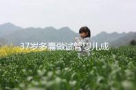 37歲多囊做試管嬰兒成功幾率多高?國內(nèi)哪里做比較好