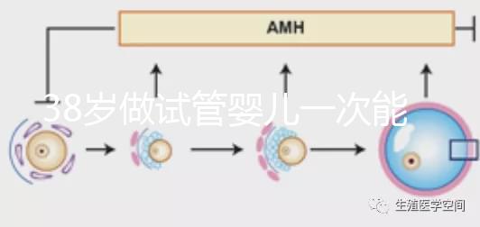 38歲做試管嬰兒一次能成功嗎？提前準備好這4點或許可以
