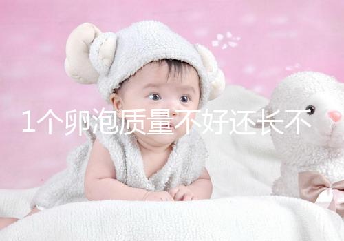 1個(gè)卵泡質(zhì)量不好還長(zhǎng)不大，如何提高試管嬰兒懷孕成功率？