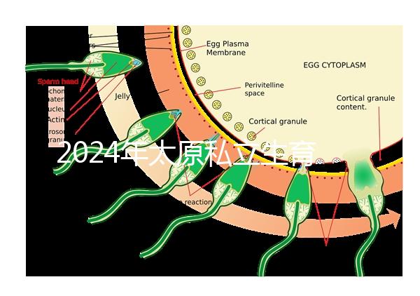 2024年太原私立生育醫院排名公開，上榜機構分娩條件好