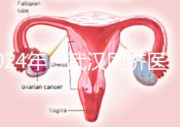 2024年,武漢同濟醫(yī)院不孕癥醫(yī)生排名公布,選擇專家迅速登記