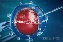 2024年武漢私立婦產(chǎn)醫(yī)院排名前十,江漢區(qū)人流良好