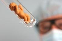 2024年陜西省規定發放獨生子女費，包括咸陽市補貼標準和領取流程