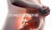2024哈爾濱生殖科哪個(gè)醫(yī)院好,哈醫(yī)大一院或二院區(qū)別對(duì)比