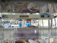 2024天津和平區婚檢預約并不難！最重要的是找到免費醫院！