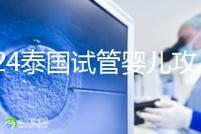 2024泰國試管嬰兒攻略索引：技術(shù)，或許不是優(yōu)勢