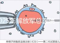 2025年解放軍總醫(yī)院第七醫(yī)學(xué)中心做試管嬰兒的費用明細，現(xiàn)在做試管多少錢？