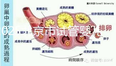 2025北京市試管嬰兒醫(yī)院排名TOP10:推薦5家私立機(jī)構(gòu)+5家公立醫(yī)院
