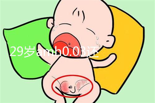 29歲amh0.03還能做試管嬰兒嗎？能否取到卵是懷孕關鍵