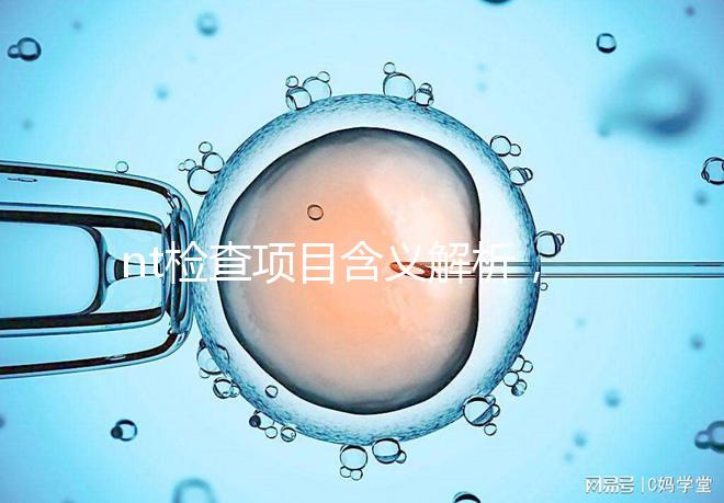 nt檢查項(xiàng)目含義解析,每個內(nèi)容都相當(dāng)重要